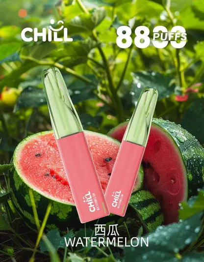 CHILL鴨嘴獸 8800口拋棄式｜12W爆發防漏，3%丁鹽，台灣正品現貨快速出貨