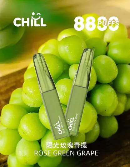 CHILL鴨嘴獸 8800口拋棄式｜12W爆發防漏，3%丁鹽，台灣正品現貨快速出貨