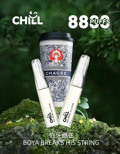 CHILL鴨嘴獸 8800口拋棄式｜12W爆發防漏，3%丁鹽，台灣正品現貨快速出貨