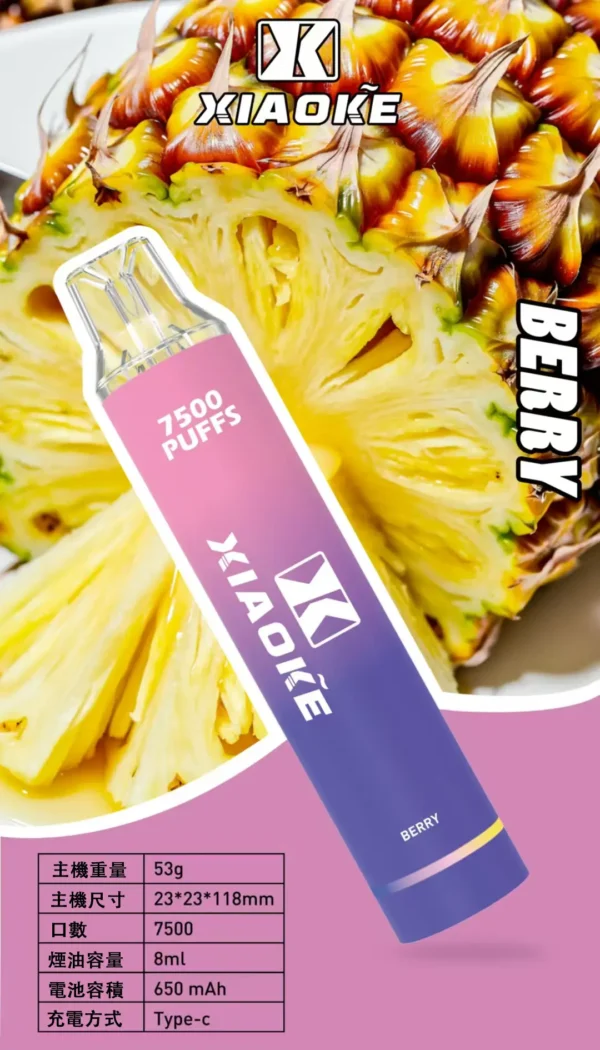 XIAOKE梟客 7500口拋棄式｜Mesh網芯防漏，8ml可充電，台灣正品現貨快速出貨