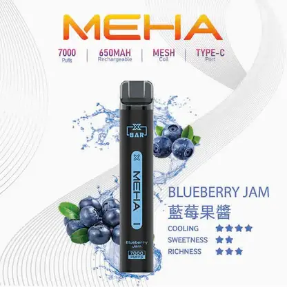 MEHA XBAR 魅嗨 7000口拋棄式電子煙｜Mesh網芯強效涼感，650mAh可充電，台灣正品現貨快速出貨